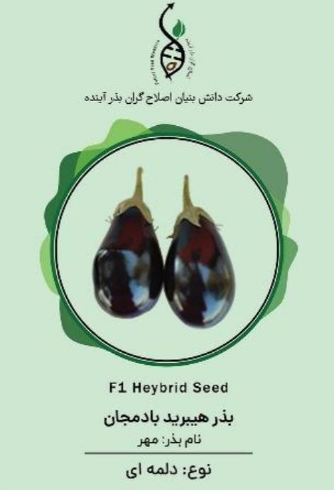 بادمجان مهر