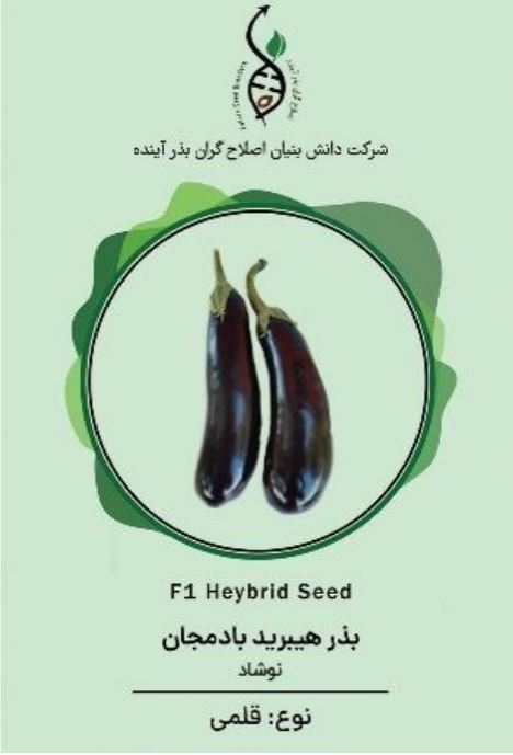 بادمجان نوشاد