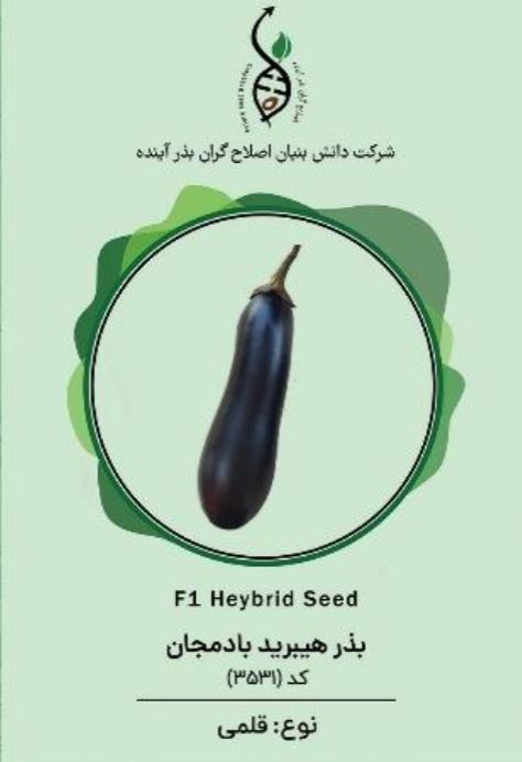 بادمجان رخشان