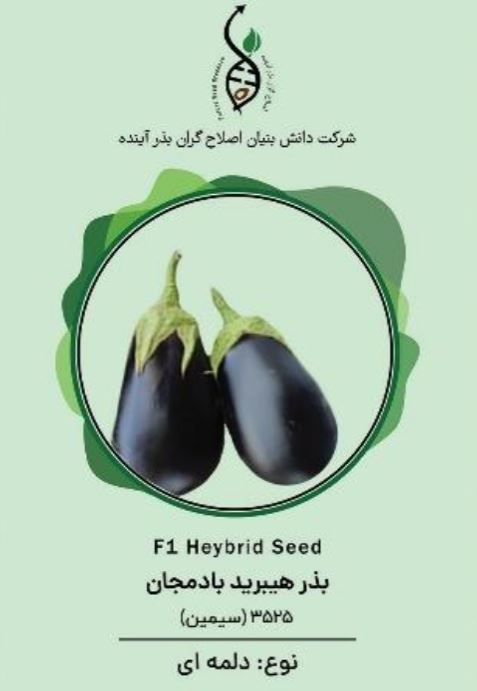 بادمجان سمین