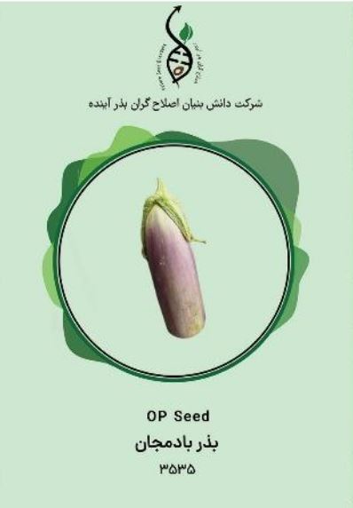 بادمجان سور